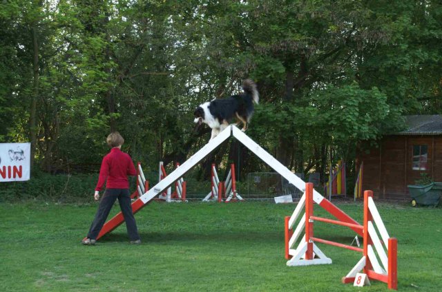 agility 2011-04